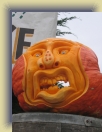 Pumpkin (38) * 1200 x 1600 * (784KB)